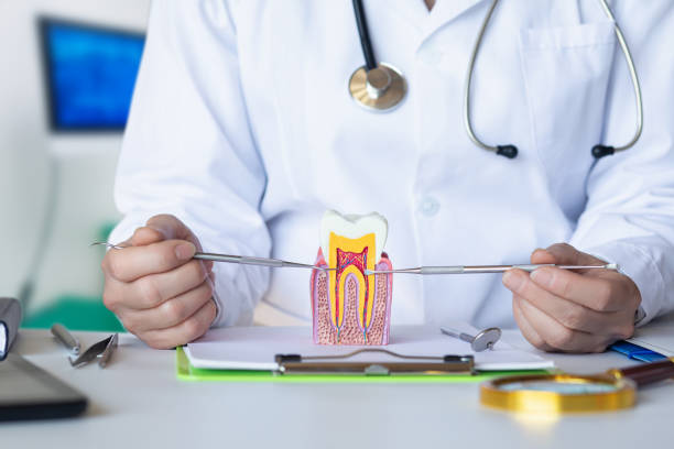 Best Pediatric Emergency Dentist in Kouts, IN